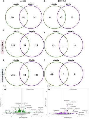 Simulated galactic cosmic ray exposure activates dose-dependent DNA repair response and down regulates glucosinolate pathways in arabidopsis seedlings